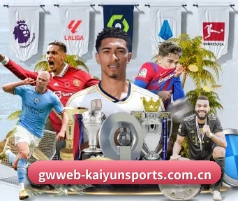 开云体育网站 APP（kaiyunsport）