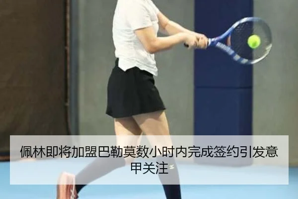 佩林即将加盟巴勒莫数小时内完成签约引发意甲关注 - kaiyunsport